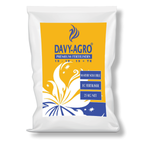 کود سیکو 19-19-19