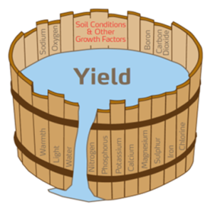 Soil conditions and other growth factors