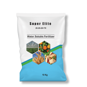 سوپر الیت ۲۰-۲۰-۲۰