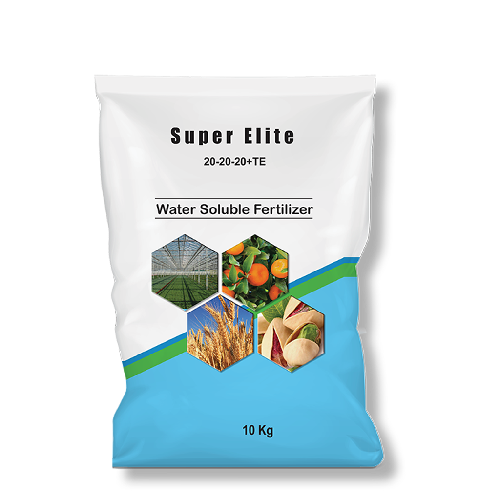 سوپر الیت ۲۰-۲۰-۲۰