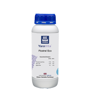 کودفلسترول اکو